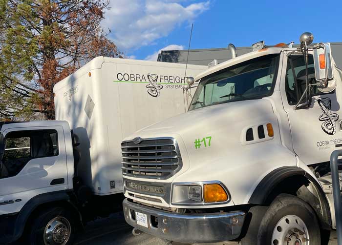 Cobra Freight Systems Team